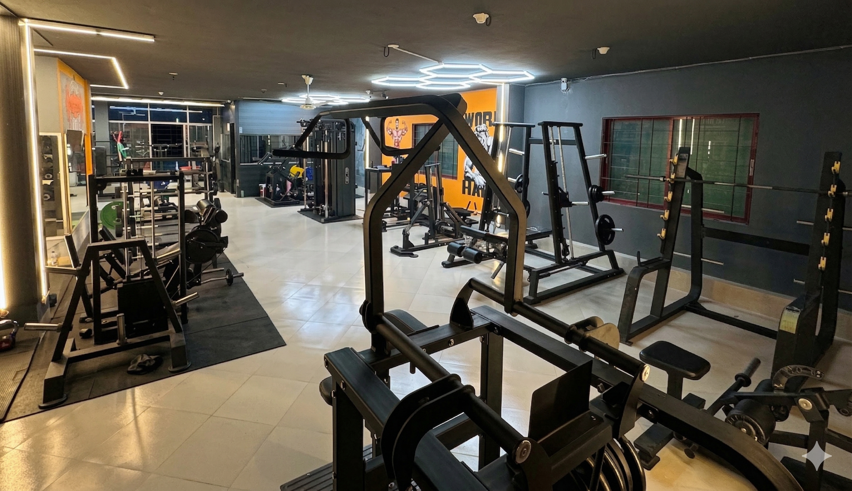 Gym Overview